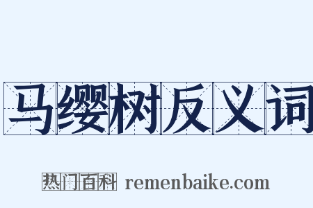 马缨树反义词是什么意思的图片